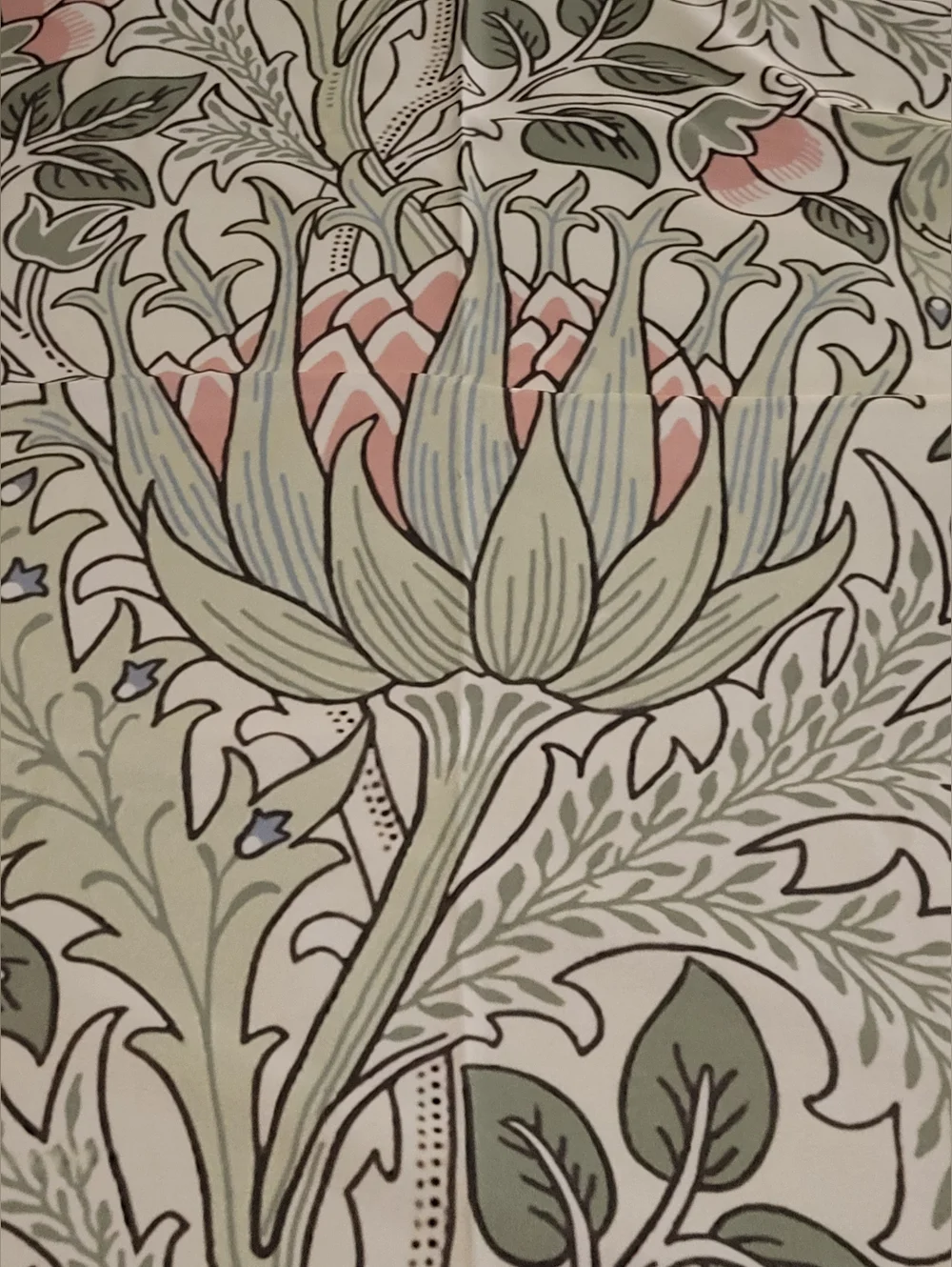 Croscill Floral Sage Green‎ Pink Shower Curtain With White Metal Hooks NWOT